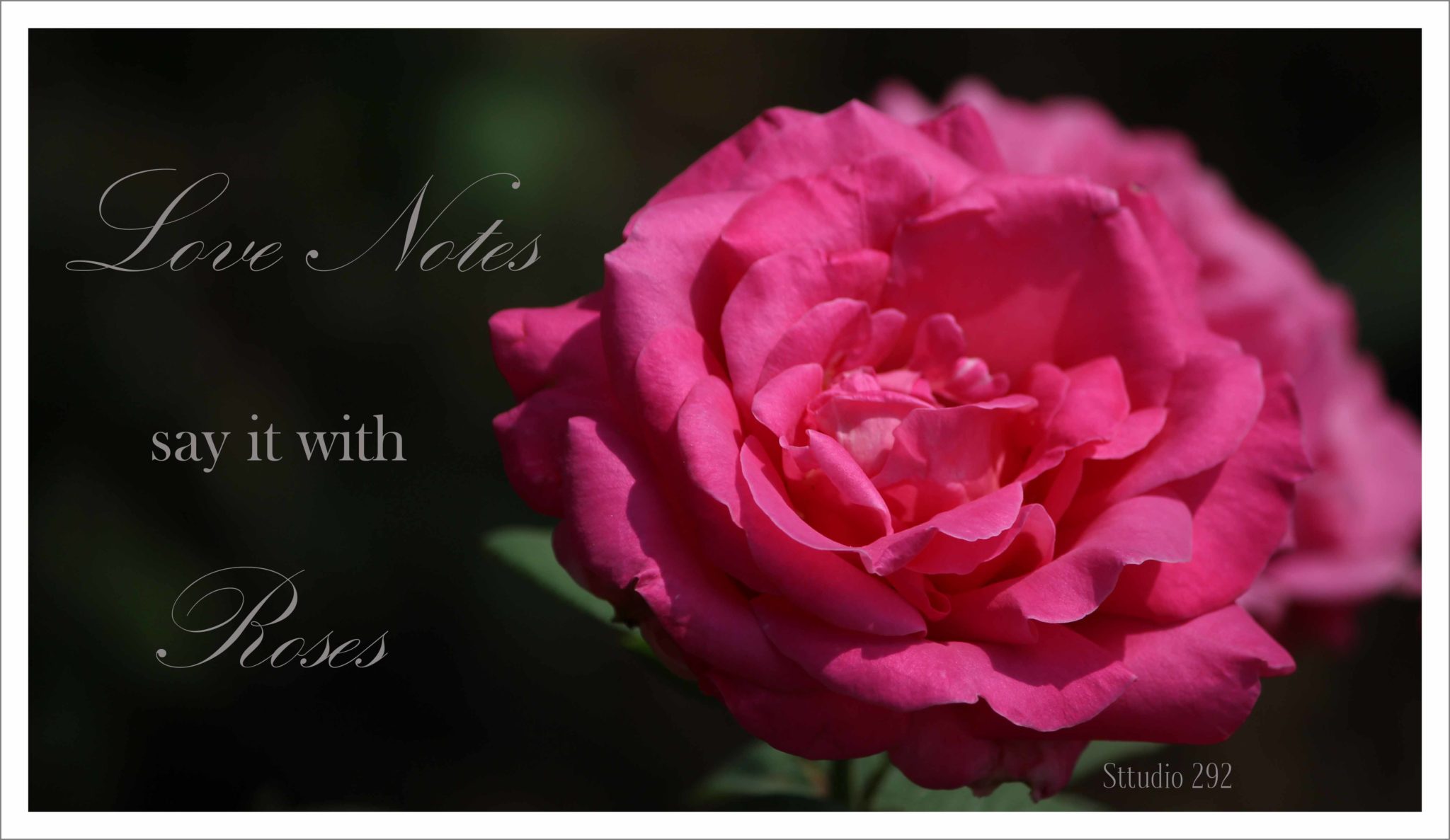 Love Notes ~ Say It With Roses Thumbnail